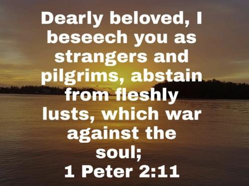 010923 - 1 Peter 2-11