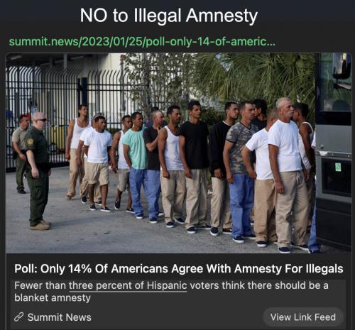 No illegal amnesty