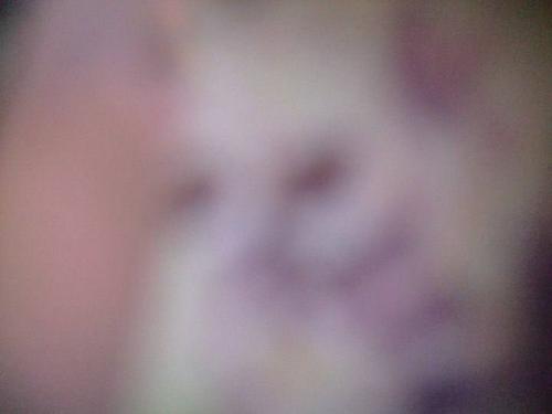 1405946F-B326-43C8-8EAB-67E5C201D663