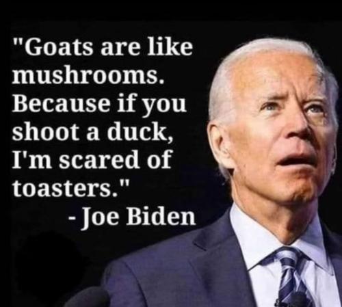 goats1