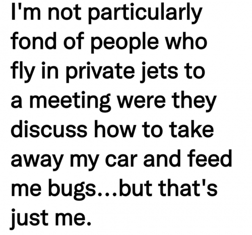 M feed me bugs