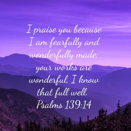 aa79bede-3f87-4335-8bfd-a34330d338b8