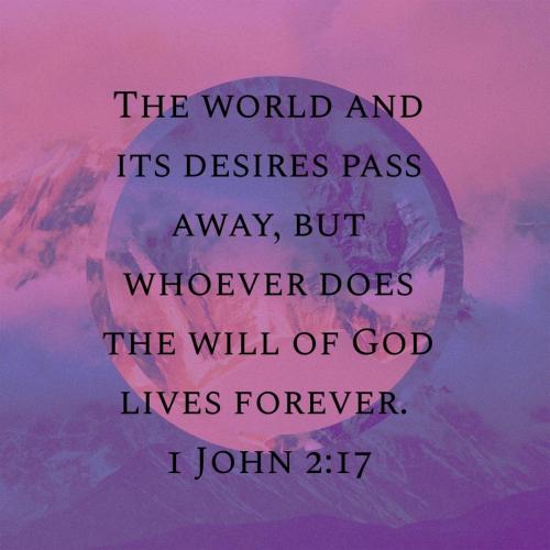 8d95e944-c0e4-4fc1-b8f8-15fd4d4cd385