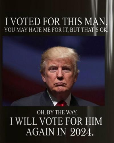 M voted and again