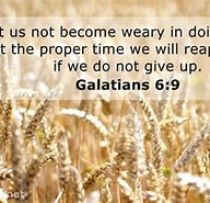 Galatians 6  9