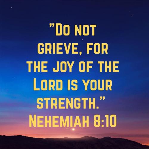 78e6a95f-1c81-40ca-aa42-d1c980058b96