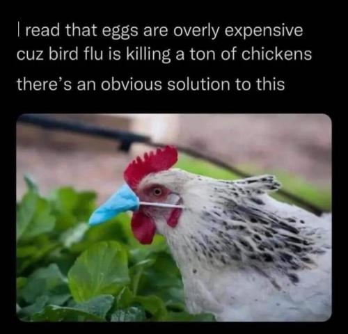 BirdFlu