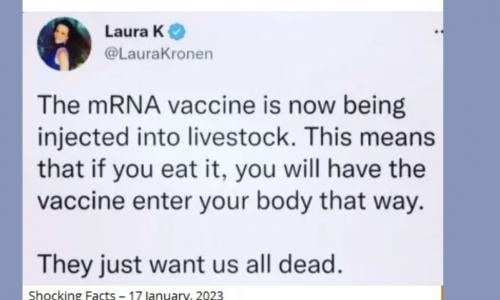 Screenshot_20230120_143715_Brave