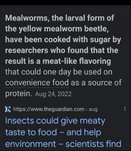 captures_chrome-capture-2023-0-19 (18)