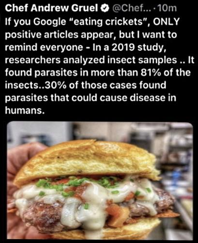 don't eat crickets 13