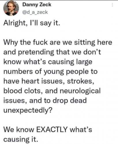 sngine_af2f5397d4e2763dcaea391722240d92