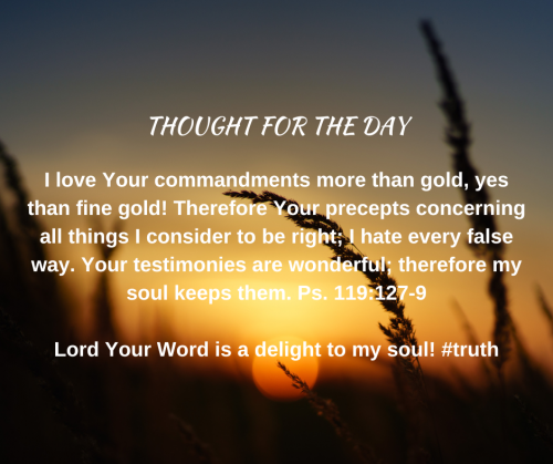 TWEET 1-24-23