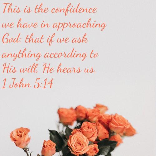 9a2a9d04-29de-42cf-8210-723dd1001d79