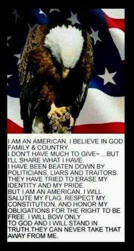 Eagle - I am American