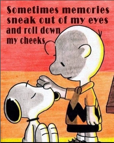 captures_chrome-capture-2023-0-30 (17)