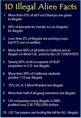 USA illegal alien facts