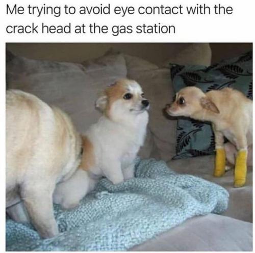 Fmjdw0pWYAI8_RF