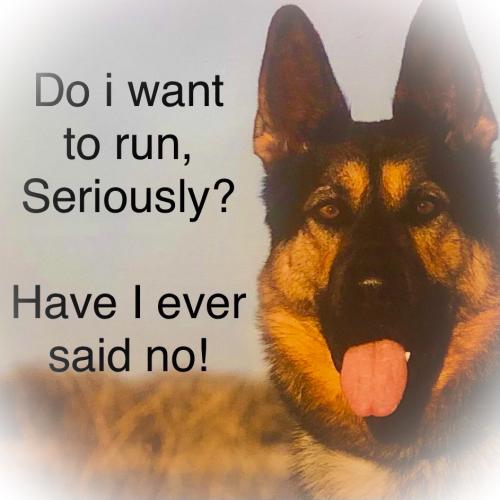 59BCB901-AA54-4D1E-8224-C6F2D823A245