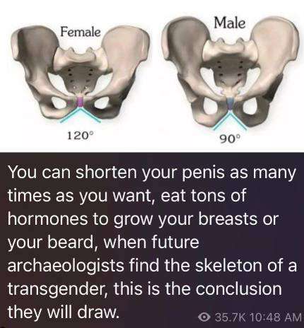 80f4ae4b-4757-41ee-9474-1f472f38e8a7