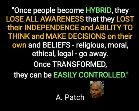 captures_chrome-capture-2023-0-20 (6)