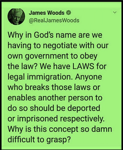 james woods illegals