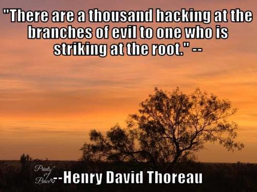 87D94A38-E128-4DD1-AE8A-89A5504A9383