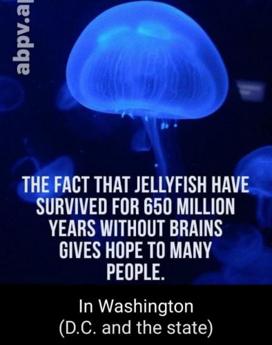 278E5268-8990-4E59-A339-08A96F7A4B10