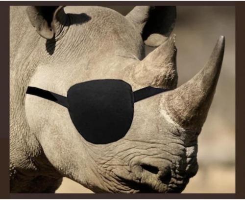 0571ba5a847c6ea720faf6da249d9f1e_1024