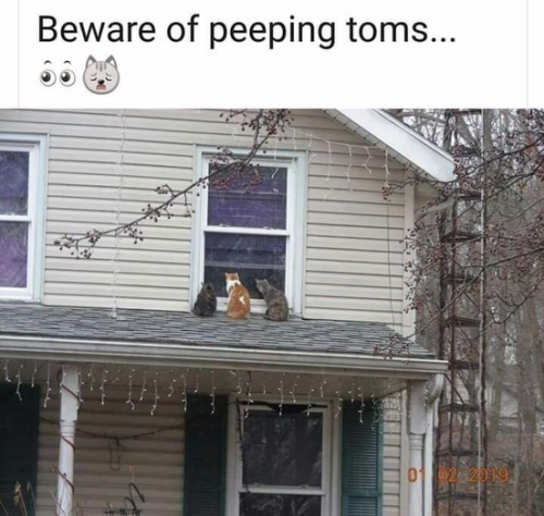 43vmyflgtetj9lml5zjqdhpmrqqvckey