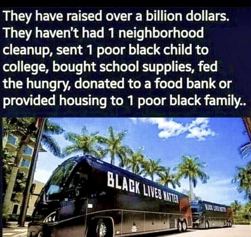 BLM not4 blacks