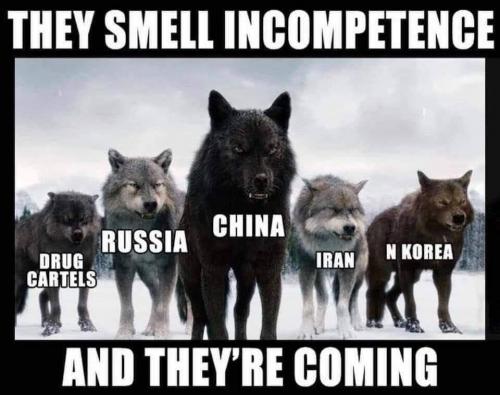 012523 - Smell incompetence