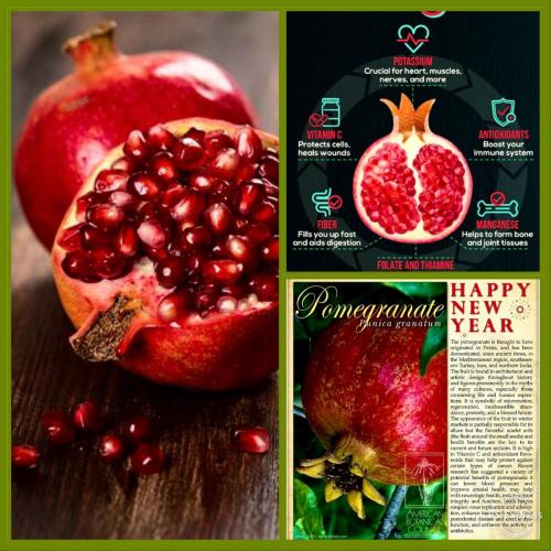 C5DD4343-44DF-4B9B-A75B-5BE712DC22AC