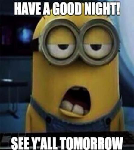 A Good Night Minion Message