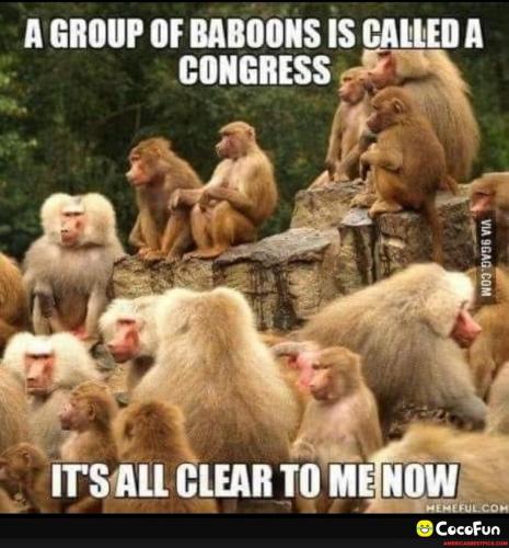 b8fad40f-cf31-40cf-b62f-2f0b00ab528d