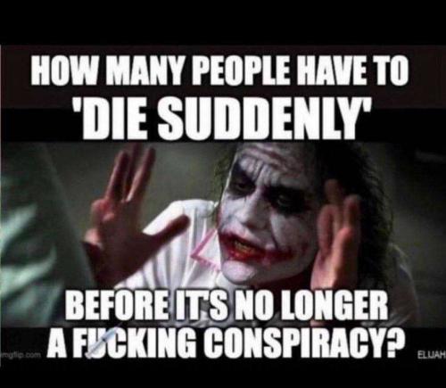 bb32e35a-3a10-431b-9668-4a5d44cd3f39