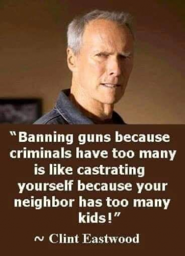 BANNING GUNS