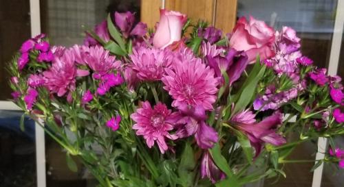 Resized_20230105_214000