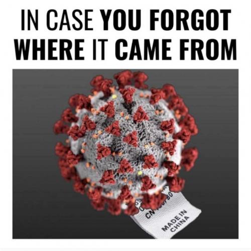 corona virus - china covid-19 - made in china. period