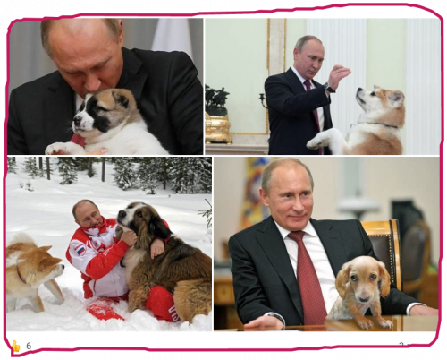 snapshot_gab.com_1674676412548