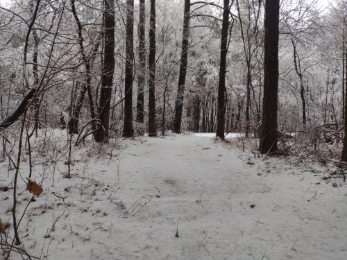 IMG_20230125_075601541