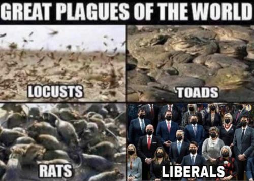 M great plagues