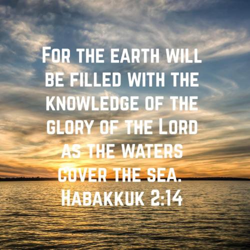 fb47f64c-07e4-4ba5-bf76-13d217eb766d