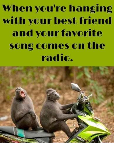 captures_chrome-capture-2023-0-20 (18)