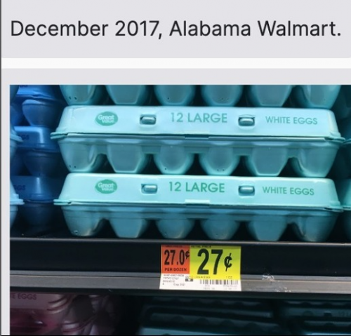 captures_chrome-capture-2023-0-5 (11)