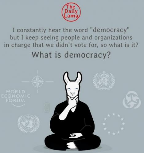 lama-democracy