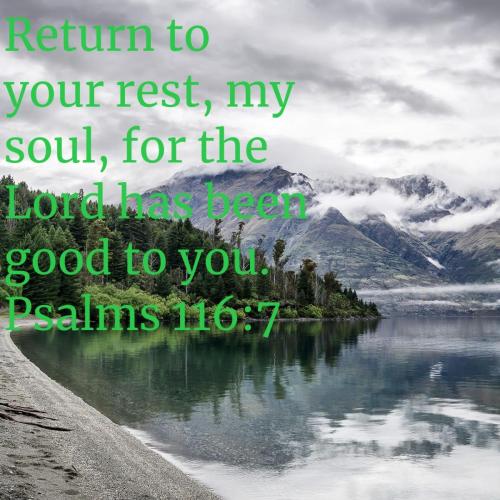 58fdacfd-959c-4d29-8adc-ed532622f4af