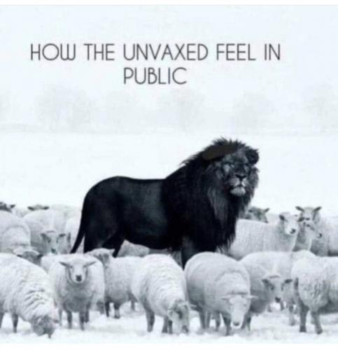 unvaxed1