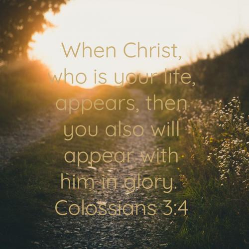 7a4a63bb-b4c4-4aae-8c1c-662d643e48f7