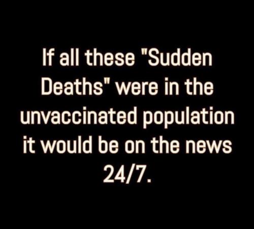 tumblr_225de5d737e97ec567b5b652dc68f907_261520f3_640