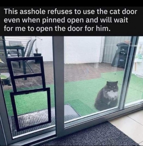 captures_chrome-capture-2023-0-19 (11)